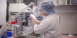 Allied Health Allied Health